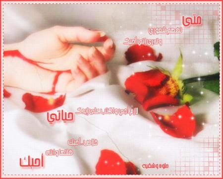 a7ibok